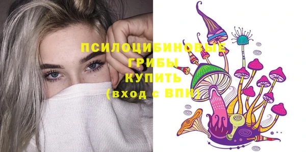 прущий лед Белокуриха