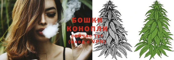 прущий лед Белокуриха
